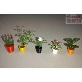 UM2+ 5 st blommor röd, gul, svart, vit, orange kruka UM2+ 5 st blommor röd, gul, svart, vit, orange kruka