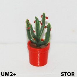 UM2+ Stor kruka Kaktus