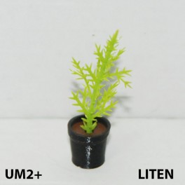 UM2+ Liten kruka grön växt