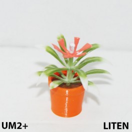 UM2+ Liten kruka blomma