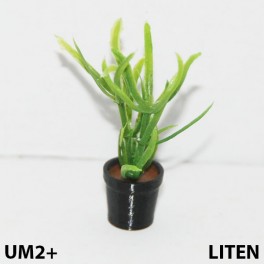 UM2+ Liten kruka grön växt högis