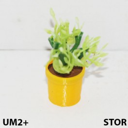 UM2+ Stor kruka blomma gulis