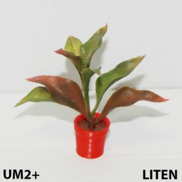 UM2+ Liten kruka blomma