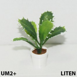 UM2+ Liten kruka Kaktus