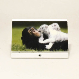 Lundby Platt TV ej el Apa och Tiger