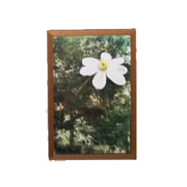 K.K. motiv Blommor