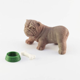 Hund som saknar ett öra